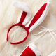 Sexy Lingerie Sets For Women Classy, Two-Piece Set With Rabbit Hairband. Sexy Lingerie Sets For Women Classy, Two-Piece Set With Rabbit Hairband.